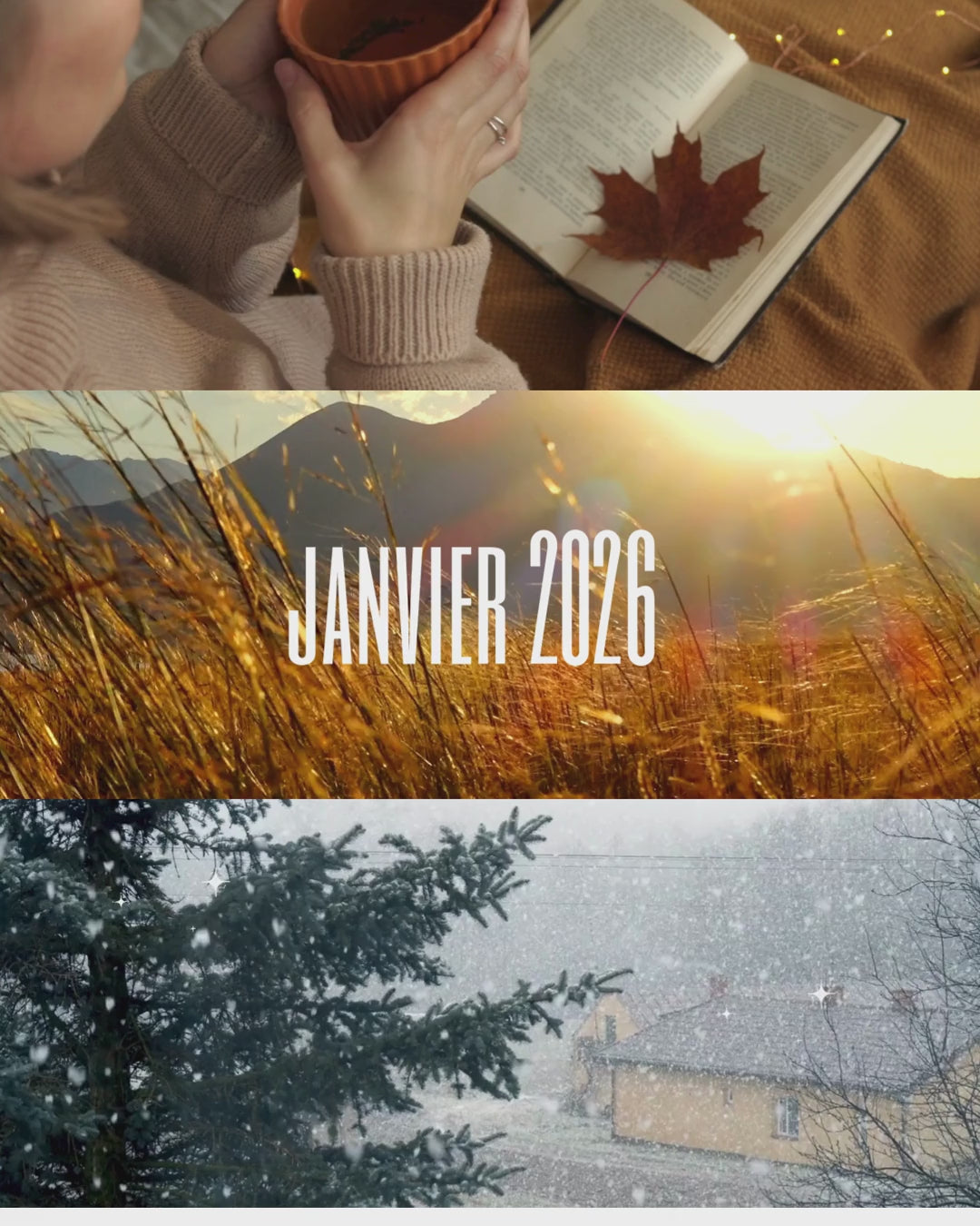 Charger la vidéo : 